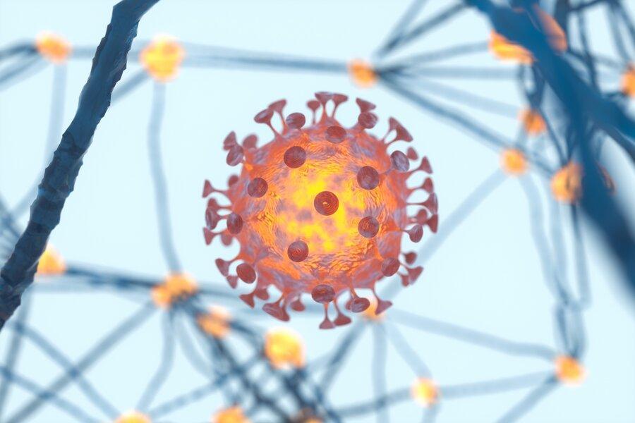 ویروس کرونا ممکن است مستقیما به مغز حمله کند