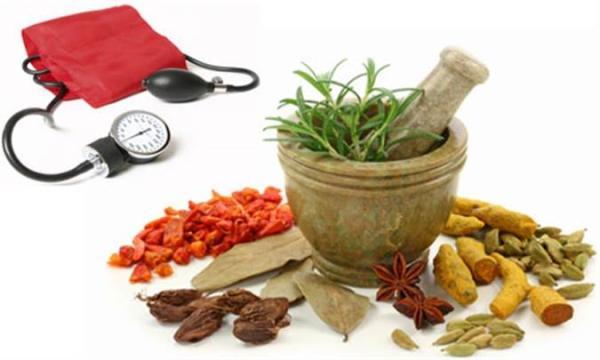 معرفی گیاهان کاربردی برای کاهش فشار خون